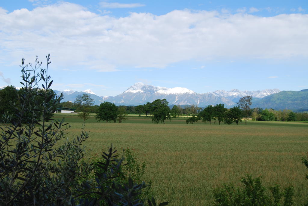Antico Borgo Bed & Breakfast San Daniele del Friuli Exterior photo